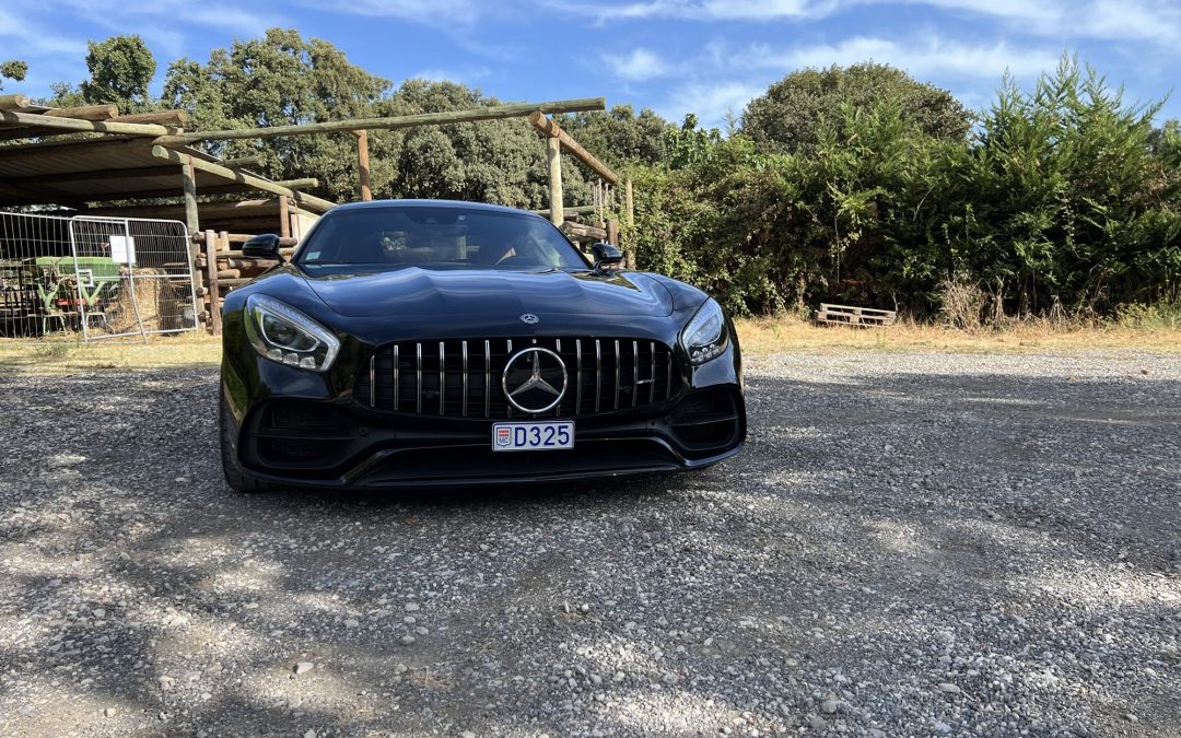 MERCEDES AMG GTS